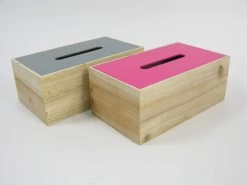 Tissue Box Natural Wood 25x14x10cm Assorti
