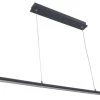 Fantasia Lino Hanglamp Matt Black 24W Led Lamp