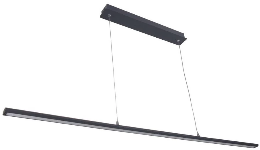 Fantasia Lino Hanglamp Matt Black 24W Led Lamp