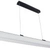 Fantasia Rory Hanglamp Matt Black White 2 X24W Led Lamp