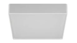 Fantasia Goa Plafondlicht White 12 W SMD LED