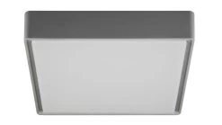 Fantasia Goa Plafondlicht Grey 16 W SMD LED