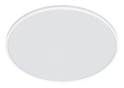 Hue Philips Ozziet Plafondlamp 36W Wit