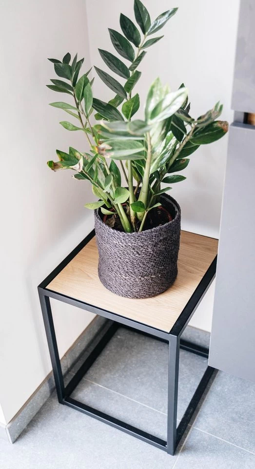 Bijzettafel 002 Industrieel 39x39x49cm Zwart - Beuk - Afbeelding 3