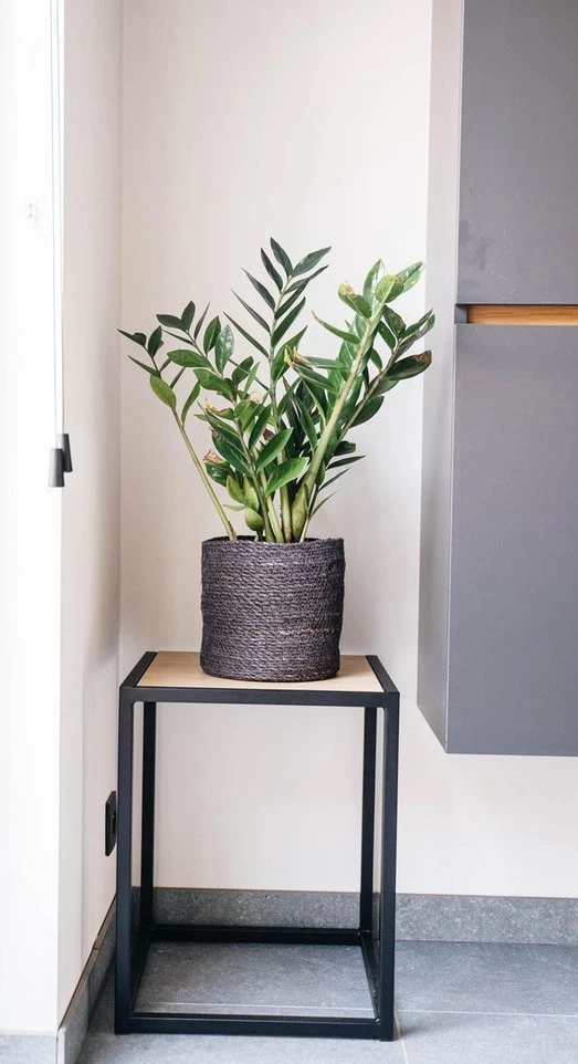 Bijzettafel 002 Industrieel 39x39x49cm Zwart - Beuk - Afbeelding 8